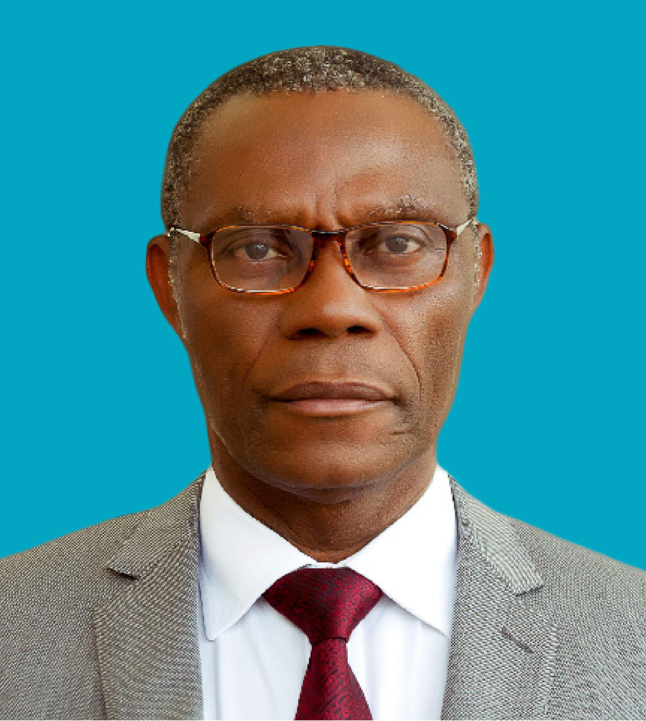Professor Joseph Atubokiki Ajienka